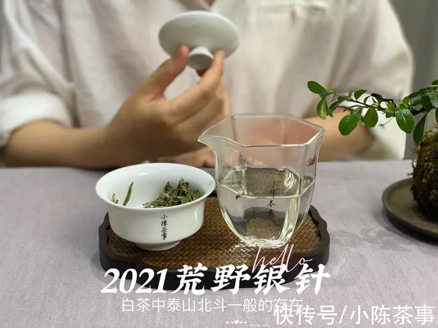 白毫银针$泡茶水温重要吗？80℃、90℃、100℃，谁才是泡白茶的最佳水温？