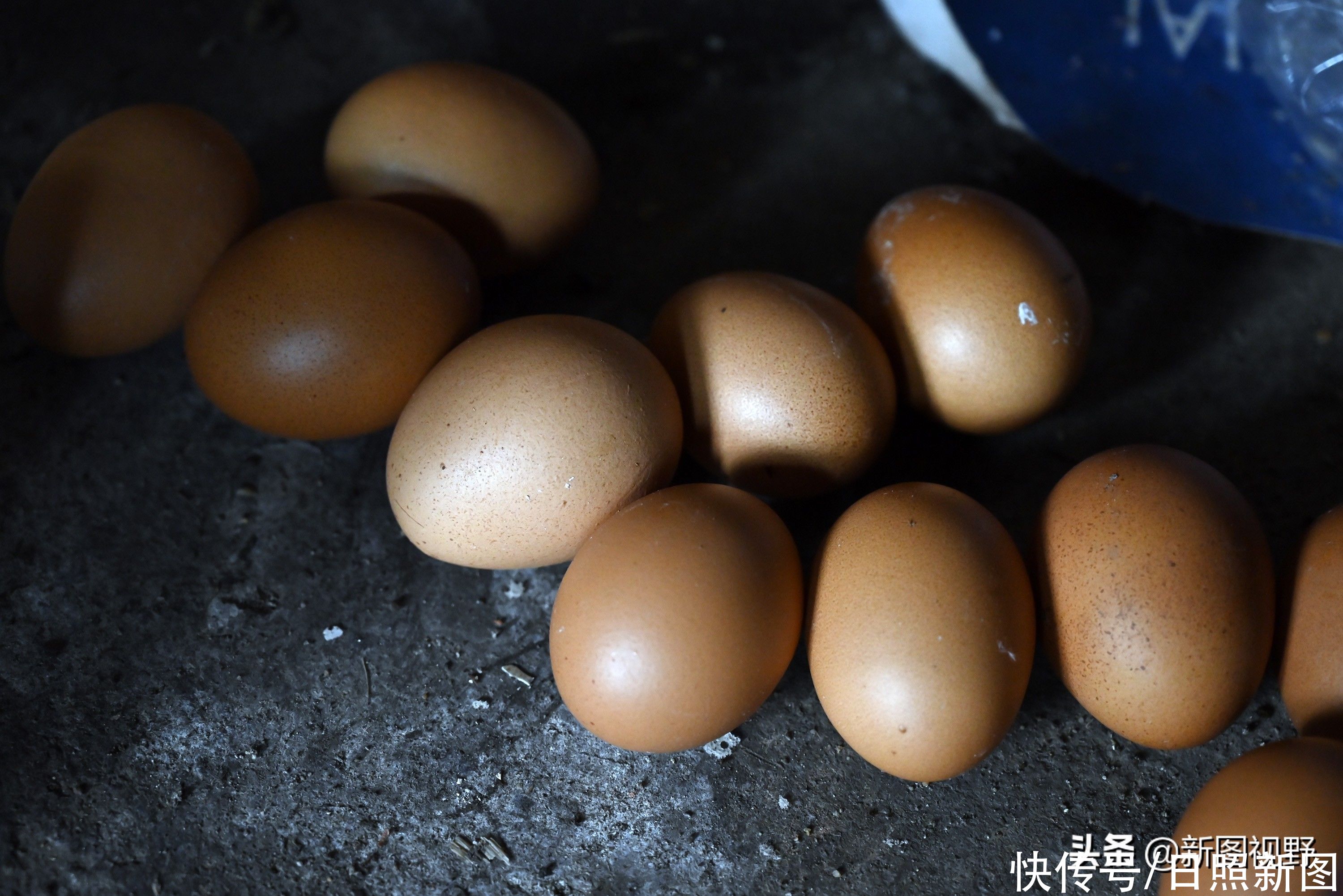 奶奶|100岁老人，每天都吃鸡蛋和大蒜，最爱逛街遛弯，长寿经验很简单