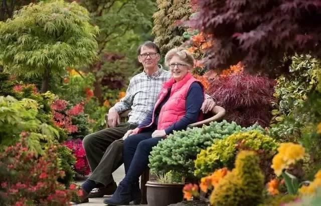  绝美|7旬夫妻用27年建绝美花园，全球花友慕名来“探花”