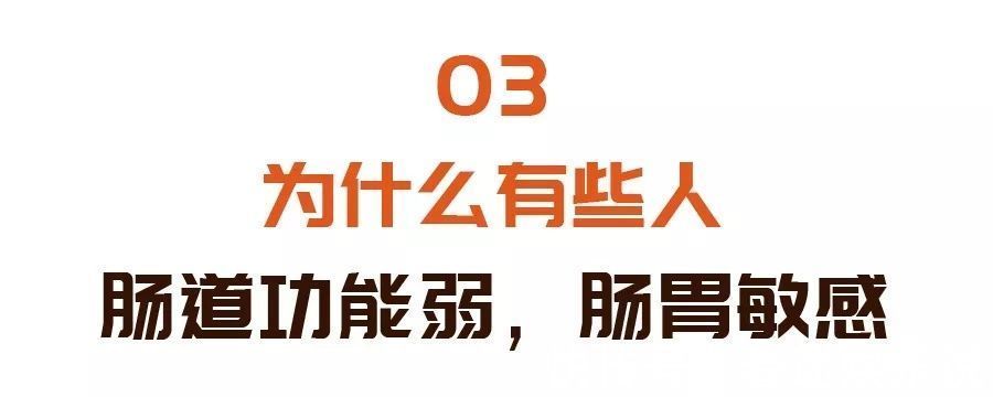 腹泻|肠道一生病,全身都遭殃?每天吃点它,清肠道,强体质,赶走节后肠胃不适