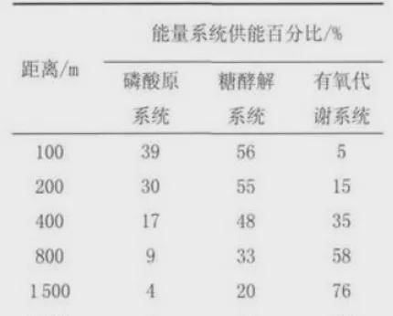 跑步|作为跑者你知道跑步时身体是怎样供能的吗?揭秘人体三大供能系统