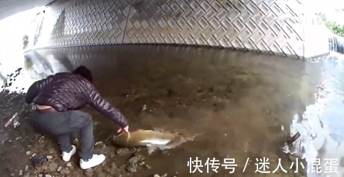 钓鱼|桥下水虽少，但却钓上了大鱼，太激动了，鱼差点就跑掉了