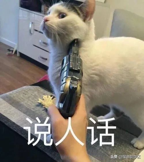 公卫|生三胎，要买什么户型？