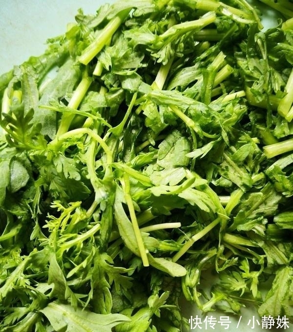 茼蒿|夏天，这菜要多吃，保护心血管，隔日排出宿便，多吃皮肤不粗糙