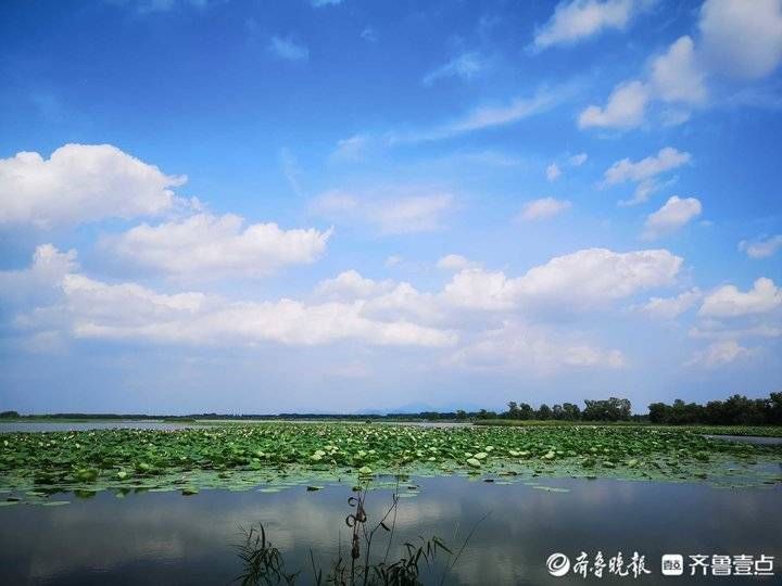 蓝天|最美盛夏，济南东郊出现靓丽蓝天彩云