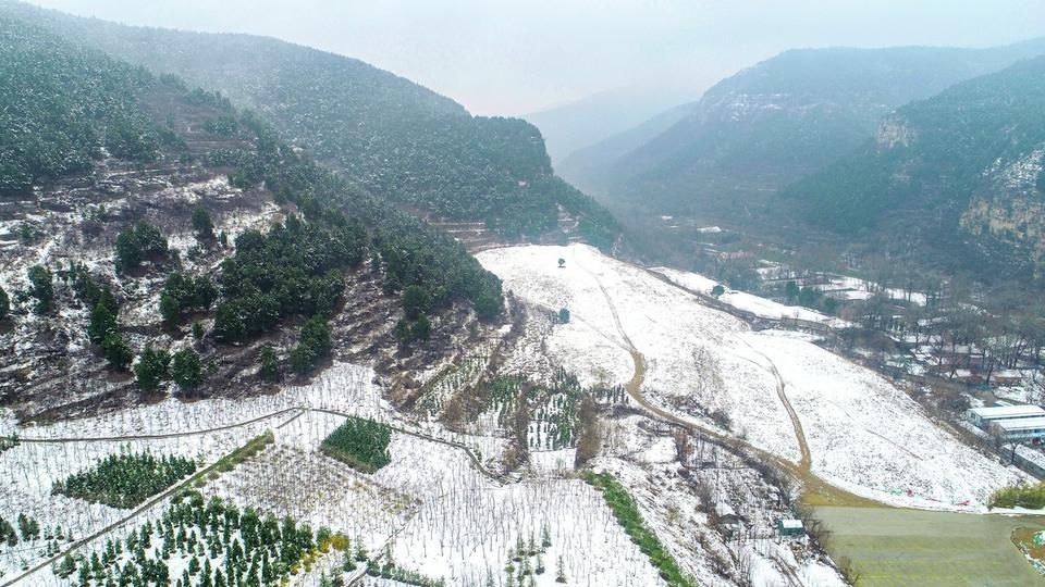 全家|春雪罩南山 白雪青松交相辉映