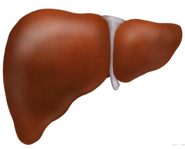 肝硬化|27岁女老师大便异样,医生:肝已硬如石头,这种汤别喝了