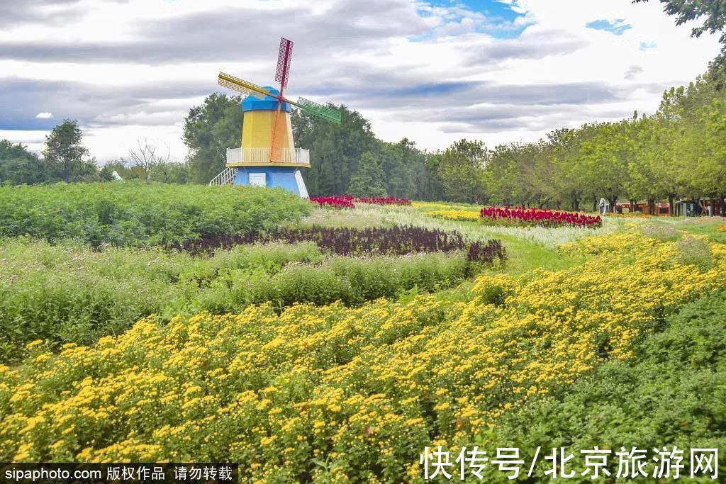 景点|京城赏秋花，这几处景点必须知道