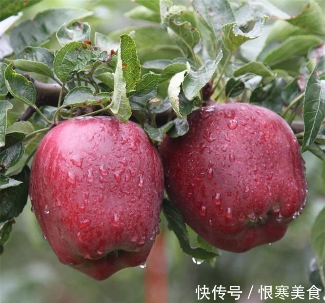 降压|想长寿全靠吃,3种食物不能少,减少皱纹,降压降脂!