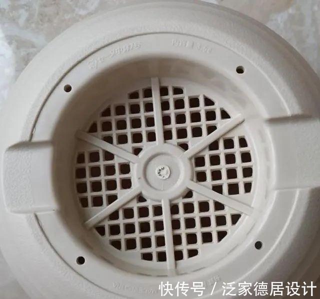 绣球|6种花“苏醒”了,多浇水、要施肥,下个月就开花