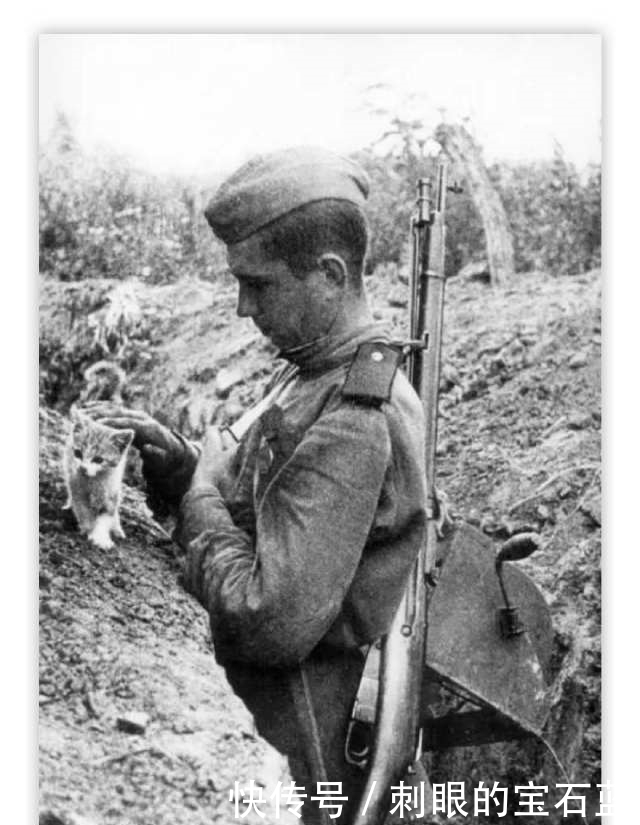 照片|这也许是你永远都没看过的罕见照片！