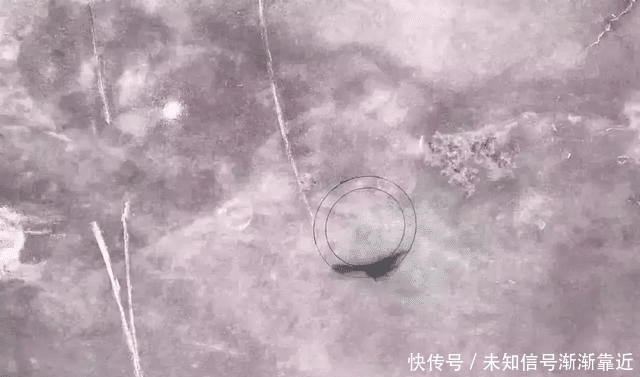 确认过眼神!今年最完美的赌石,1吨重玻璃种帝王绿估价5亿