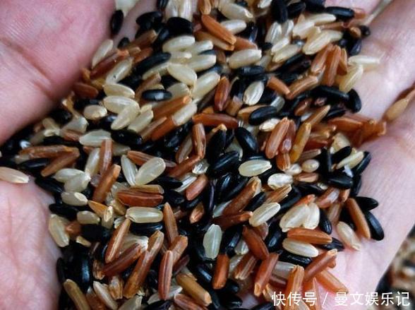 建议中老年人多吃下面这些食物,价格便宜又营