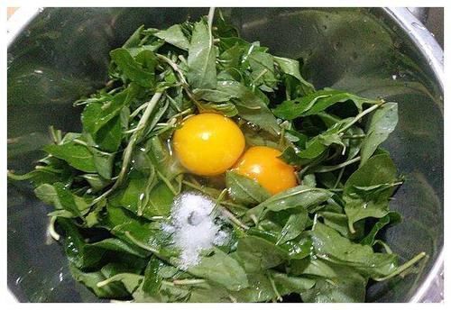 叶片|藏在民间的“护肝菜”，隔三差五吃，美味下饭，养肝护肝，肝脏健康了