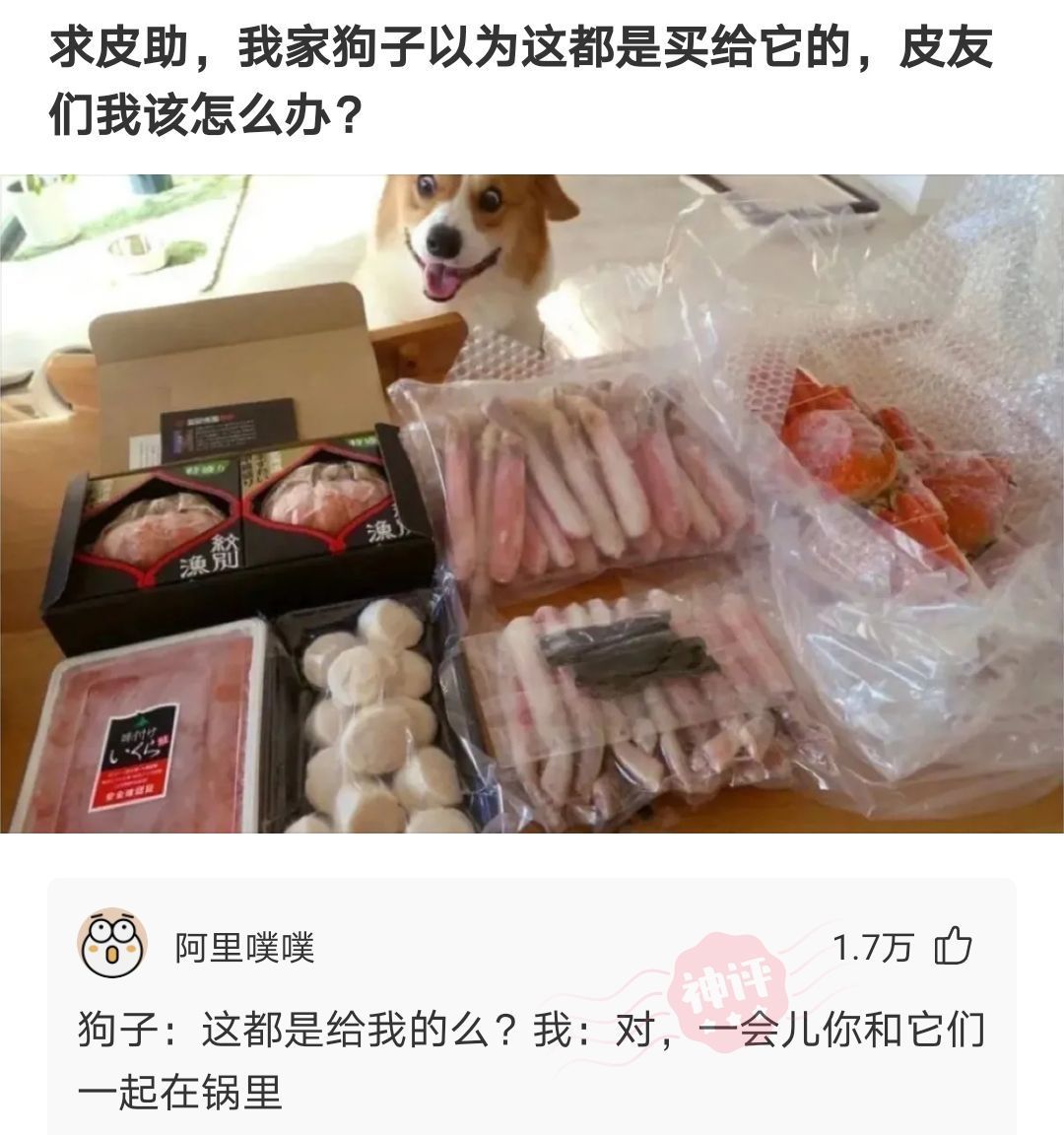 |搞笑神评:粤语发音都这么可爱吗?