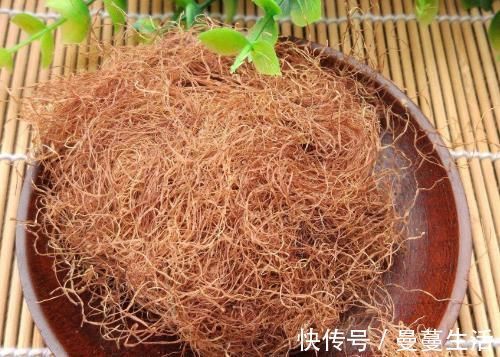 抗疲劳|蒲公英里加一宝,坚持每天一杯,明目抗疲劳,身体毒素全跑光