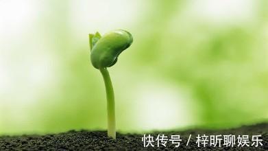 车前子|最养“精”的方子来了，老中医不外传的送子观音方，只说一遍