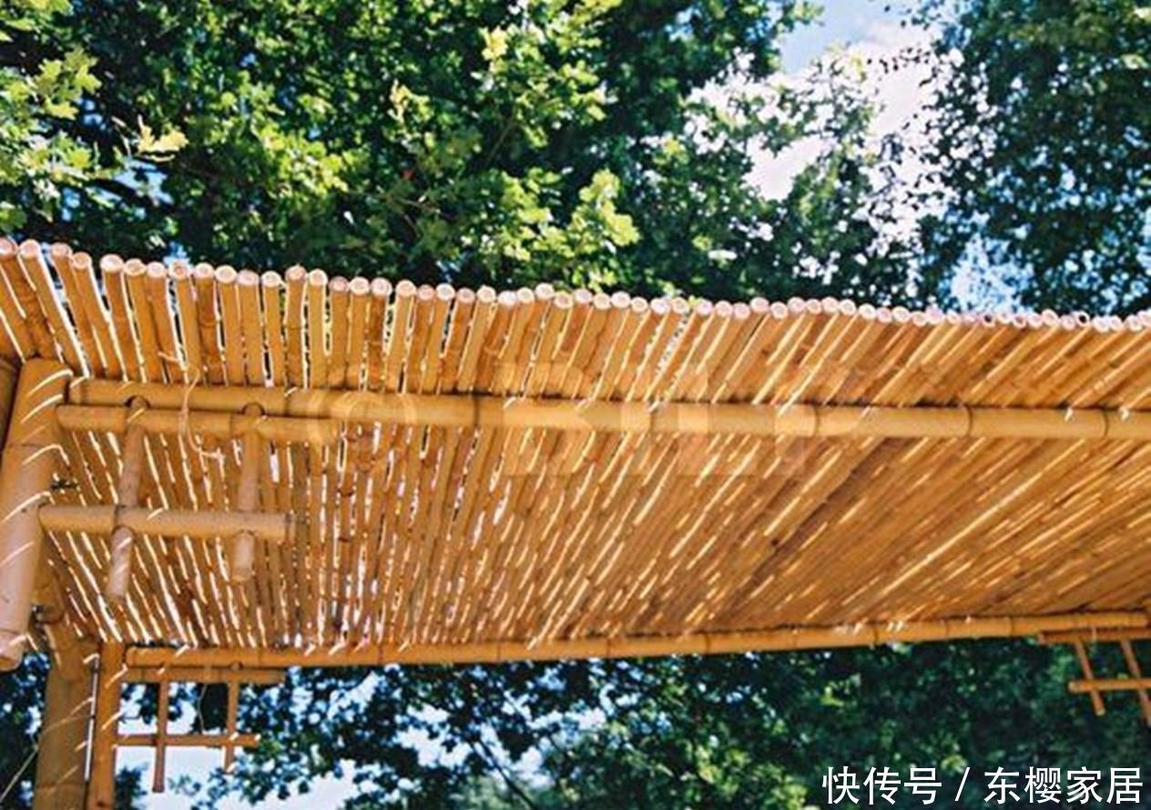 闲适|要是你也有个院子，那就这样设计砍几根竹子撑起一个廊架，闲适
