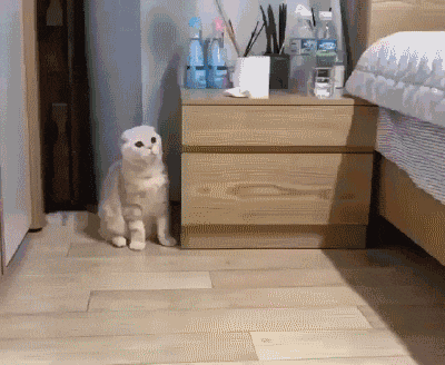 |搞笑GIF:姑娘 不行就别硬撑了 我看着都觉得尴尬