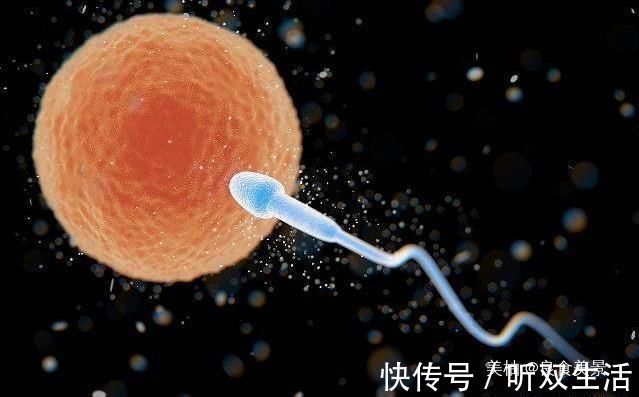 激素|女性有4种感受,意味着卵子成功着床,别怀孕了还不自知