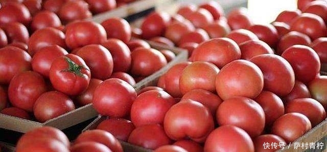 常成熟的西|买西红柿,圆的和尖的选哪种?卖菜大姐:有3种不要买,是催熟的