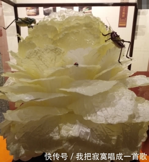 做出|农村九旬老人巧夺天工,做出华夏神品,获国家最高奖,真了不起