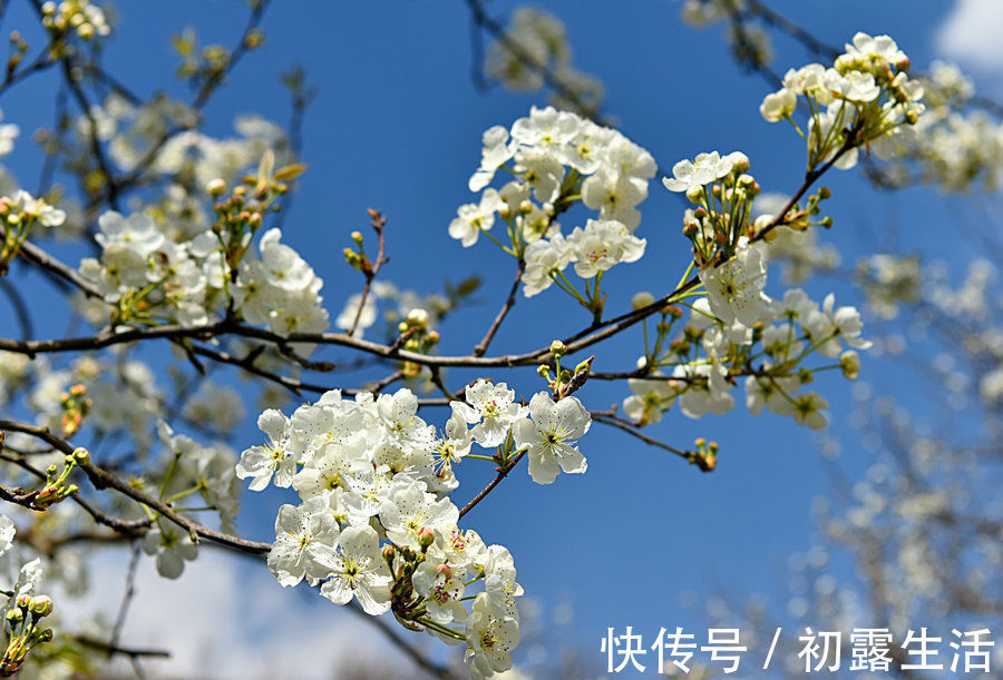 女中豪杰|这些时辰出生的女人，是上等富贵命，福气不缺，幸福连连