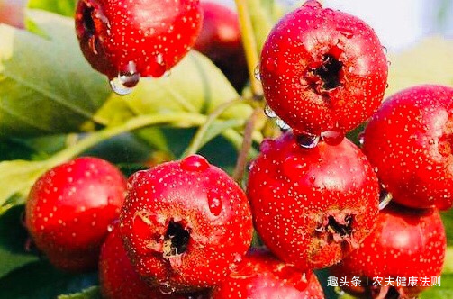 美白|爱吃山楂的人，身体不会差，美白祛斑，补血活血，大肚子也没了