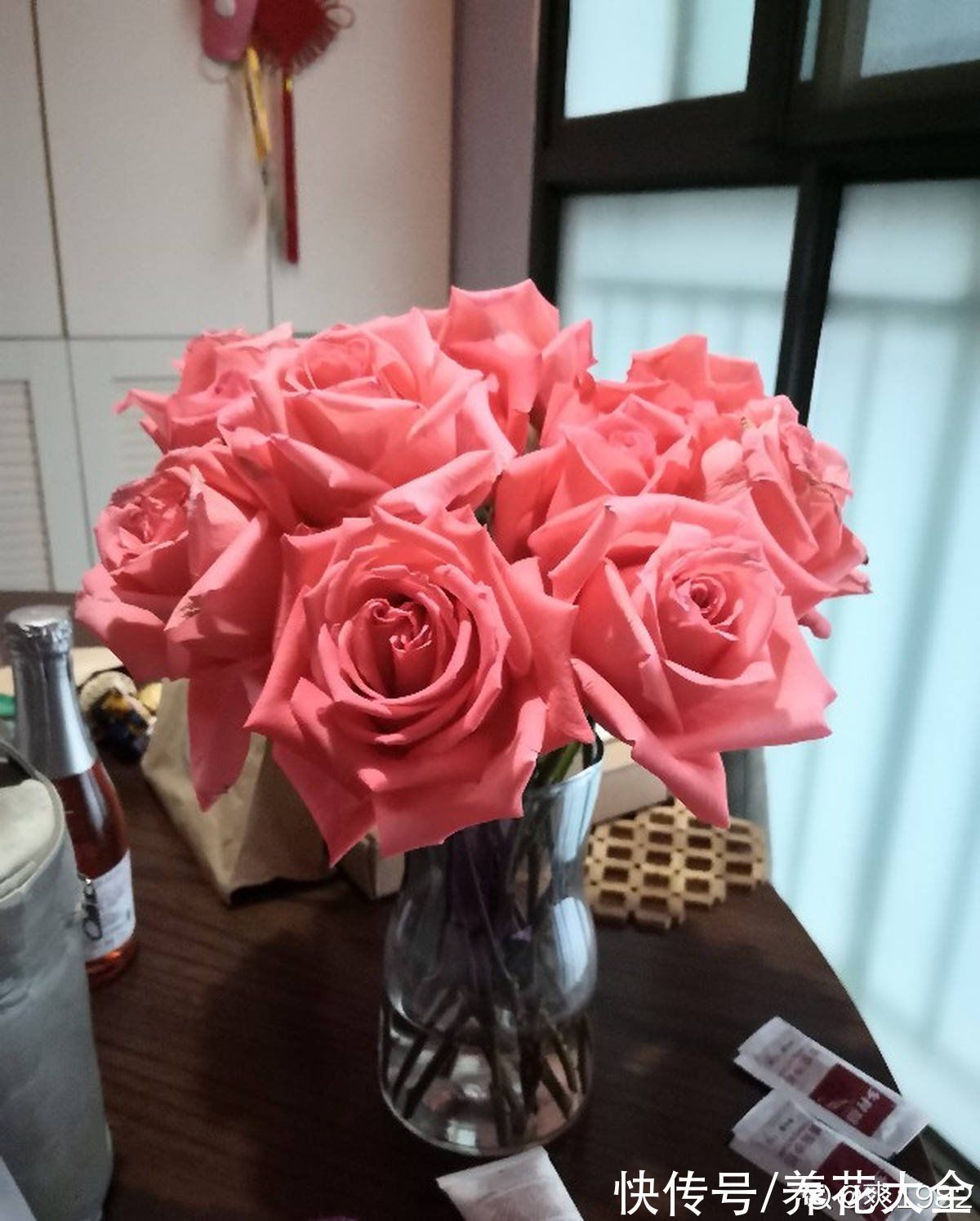 适合新手养的月季,花朵一个比一个大,花期还超长待机