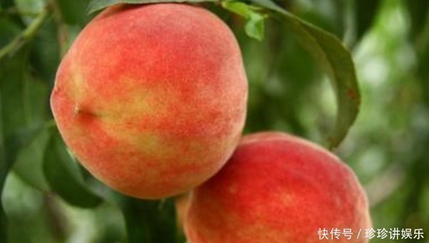 西红柿|人到中年,不妨坚持吃四种食物,排毒抗衰,润肠通便,增强抵抗力