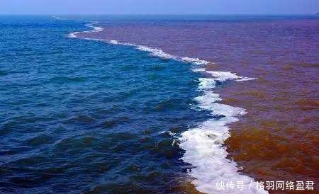 布谷鸟|美国大都会博物馆有尊青铜鼎,鼎中铭文,泄露“布谷鸟”国的存在