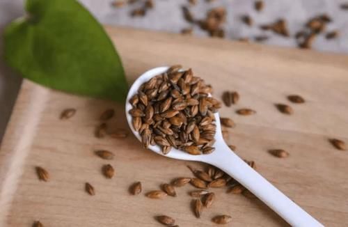 肺部|8月下旬是养肺黄金期,医生:2种食物存储冰箱,或助于消散肺结节