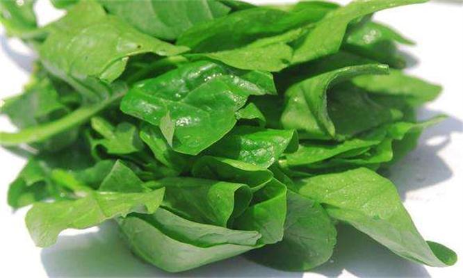 降血压|想养生得会吃,3种蔬菜每天吃点,清热解毒,润肠通便,降血压