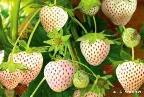 维c|女性要排毒，离不开的食物，排出毒素，减肥塑身，缓解眼部疲劳