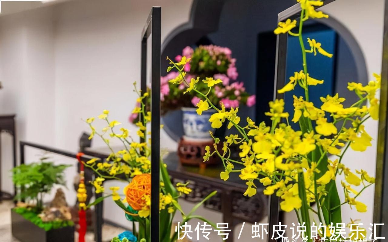 14种冬天开花的花卉，好养不娇气，为冬天添一抹色彩