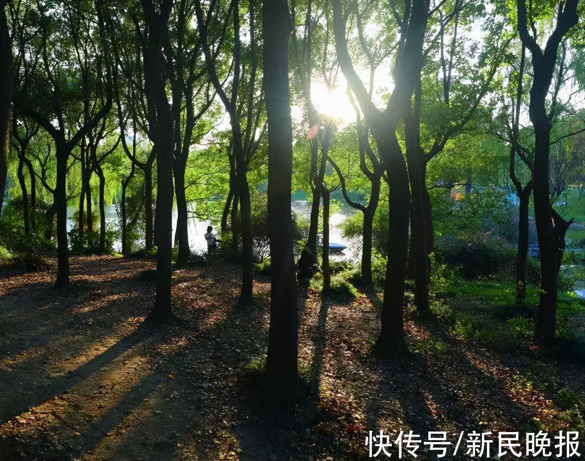 人造土山|闵行体育公园：四季皆美，上海最高的人造土山在这里