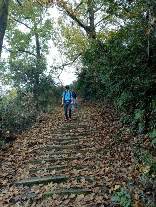 长溪村|婺源赏枫长溪村，石城游记