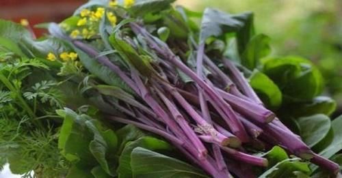 延缓衰老|爱美要多吃3种食物,去除皱纹,延缓衰老,好吃又健康