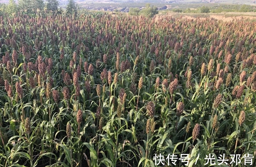 写生!著名画家王克举秋日大同浑源写生,描绘“心中的风景”