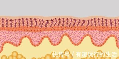 射频 热玛吉、热拉提，到底哪个更适合你！