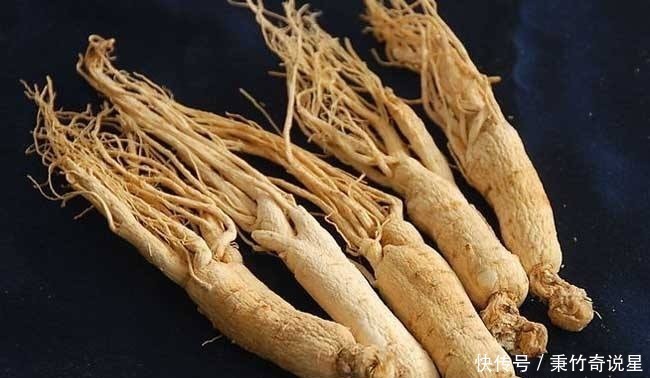 西方人|中国人参价格被炒到黄金之上，西方人乐坏了：我们那遍地都是