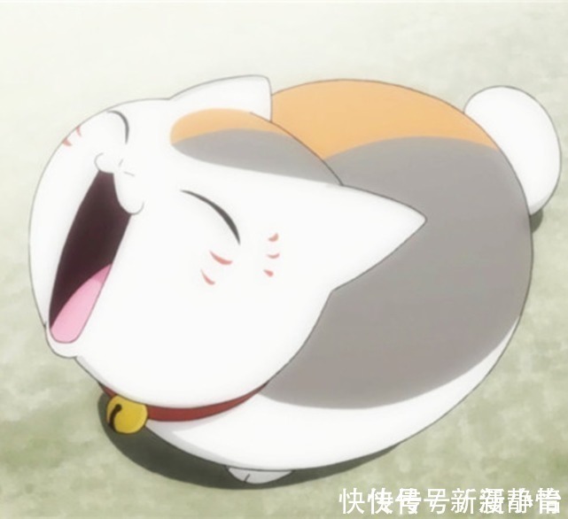 布加拉提|把动漫人物换成“猫猫头”,人物顿时显得可爱了,但布姐yyds