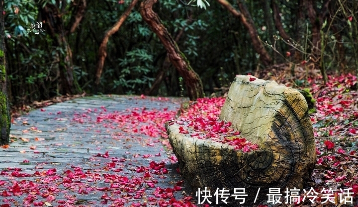 上饶@辛弃疾最著名的10首词排行,《永遇乐 京口北固亭怀古》仅列第四