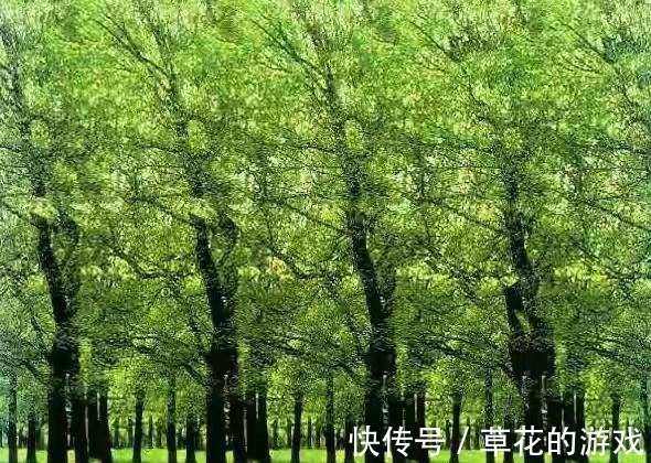 图片&25张裸眼3D图片,带你重温童年的记忆,感受3D的魅力!