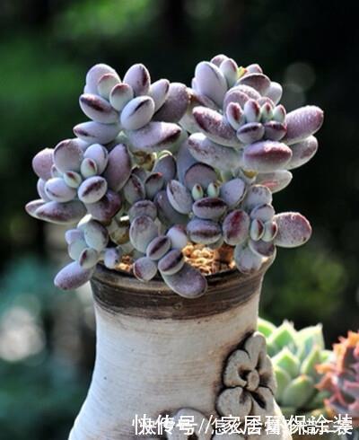 作业永远收不齐，老师想到一个好办法，当场分辨哪些人作业没交