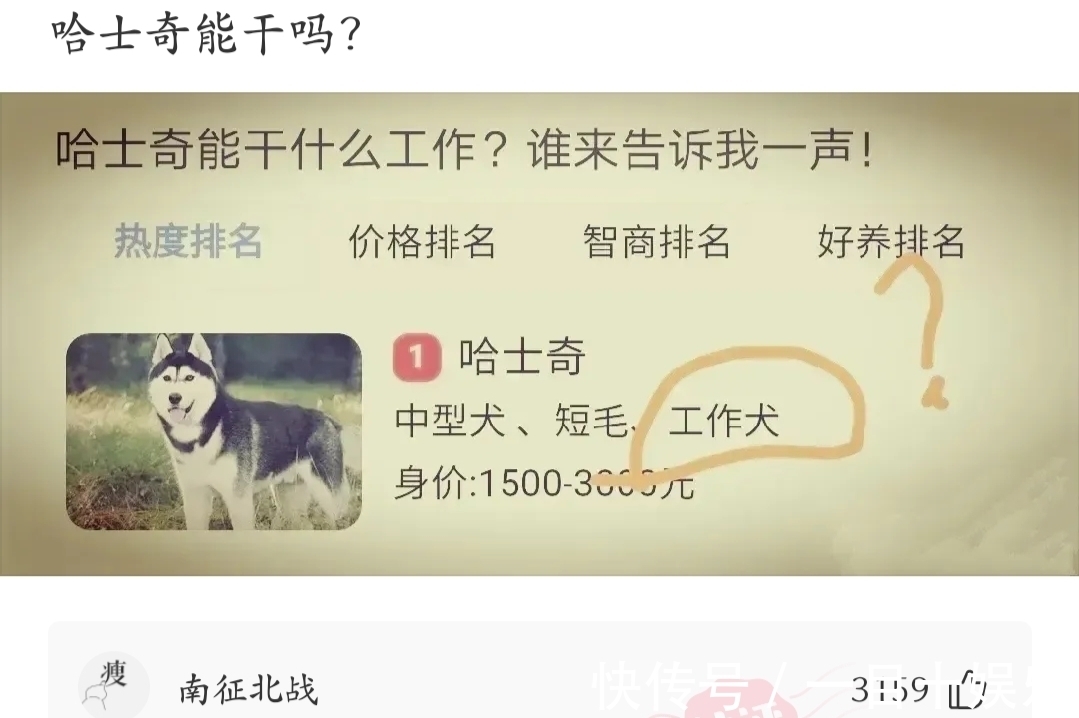 |神段子:笑死人了,白居易为什么写了《琵琶行》但是不娶琵琶女?