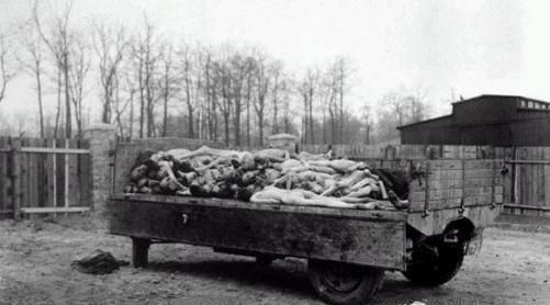 前所未|二战日军有多惨无人道?一旦发起狠来,连自己人都不放过