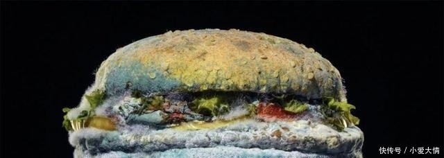 文学|网易退出双11、凡尔赛文学借势……“反向营销”成品牌热宠?