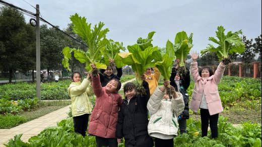 回响计划|3.5万盏灯点亮60万村民回家路