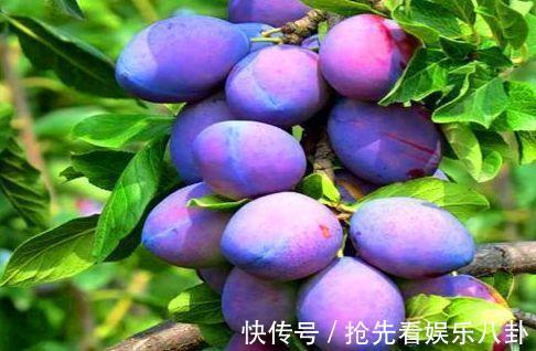 排毒|女性到了中年,常吃3种食物,滋阴润肺,排毒清肠,美容肌肤